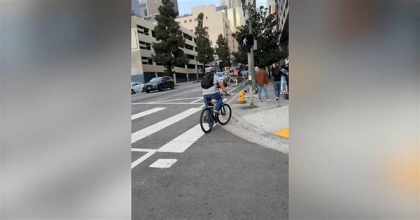 Woman who clung to getaway car to save stolen dog speaks out: ‘I held on to the windshield wipers’