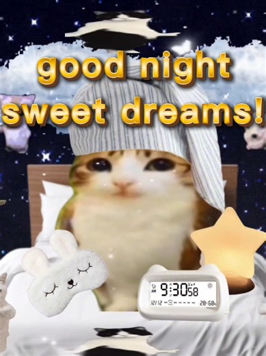 get your talking cat video in my bio 🙀🙀💗 gm ♡ have a good day! #sillycatsoftiktok #sillycatlovers #sillycatlovers #catcore #cats