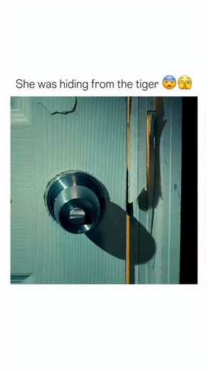 Movie Facts on Instagram: "“Burning Bright” (2010) is a suspenseful horror-thriller that follows Kelly Taylor and her autistic younger brother, Tom. When a powerful hurricane hits, they become trapped inside their home with a deadly Bengal tiger, kept by their stepfather as part of a home safari setup. With the storm cutting off any hope of outside help, the siblings must navigate the terrifying situation while trying to survive against a predator that now roams freely in their house. As the ten