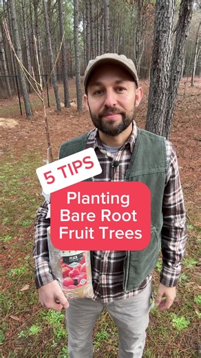 Check out these 5 tips on planting a bare root fruit tree. 🌳 🍑 It’s a great way to get your home orchard started. Here are my tips with reasons why I do each one. Read on for a bonus tip as well. Tip #1 - Plant the tree quickly. You don’t want your roots drying out while you wait for the perfect day to plant. If it’s gonna be more than a few days, then I would recommend heeling in the tree. #2 - Soak the roots for a few hours before planting. This rehydrates the roots and prepares them to be p