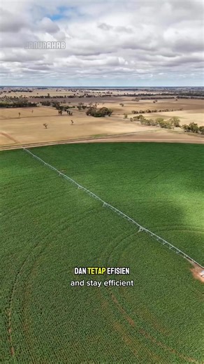 This Dry Land Was Transformed into a Corn Farm Using Modern Irrigation Technology Lahan Kering Ini Disulap Jadi Pertanian Jagung Berkat Teknologi Penyiraman Modern Post everyday! Follow, comment, like, and share on all social media @janurahab #WorldFacts #TrueStory