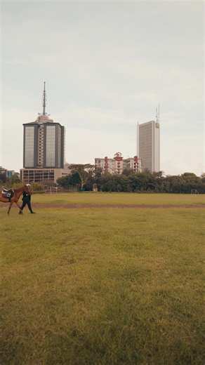 Enhance Your Videos with Sony Sunset Effects