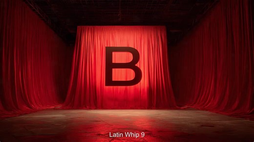 Latin Whip Stinger Transition - Etsy