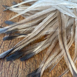 Natural Emu Feathers (5-7 Inches): Jewelry Making, Millinery, Fly Tying - Etsy Australia