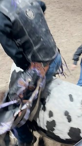 Bob Mitchell continues his hot streak with a qualified ride at the Velocity Tour Finals! Go behind the chutes to watch the Rookie of the Year contender go to work ➡️ | PBR