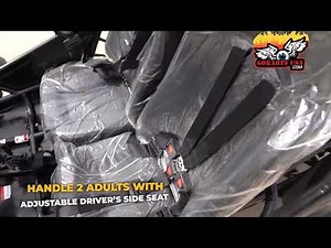 TrailMaster 300 XRX-E (EFI) Dune Buggy Go Kart | GoKartsUSA.com