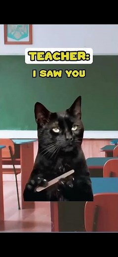 Funny cat videos part:6 credit:SherCATholmesYT #cat #catlover #funnycats #pets #shorts