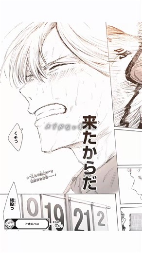アオのハコ 241話 最新話 & インハイ予選