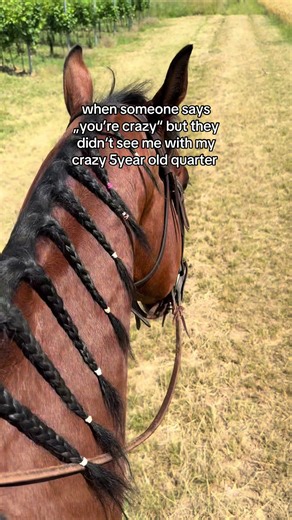 kobys.reallife on TikTok