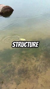 11K views · 149 reactions | How to find good fishing spots! 鸞 #fishing #bassfishing #fishingtips #fishingvideos #fishtok #beauty | Sight Fish | Facebook