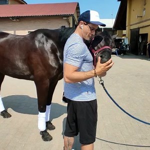 Uno dei miei animali preferiti…. ❤️ #gabrielgarko #horse #animals #relechionship #man #actor #men #italy #life | Gabriel Garko