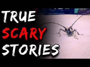 Scary Stories | True Scary Horror Stories | Reddit Let's Not Meet And Others