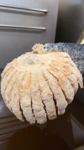 Our signature spicy onion bomb y’all🔥 #onionbomb #calibomb #onionbombs #vegasfood #vegastiktok