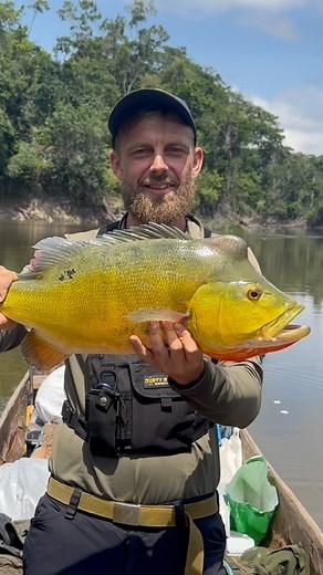 Just a little Amazonian Peacock bass in the upper Essequibo river. This is one of the most secluded part of rivers left on the continent and the fishing is absolutely amazing@ Whether you are in to fishing or not it is definitely advisable to give it a try, especially with specimen like this in every single pool you’ll pass 🎣🏕️🇬🇾 #fishingtime #peacockbass #bassfishing #adventureawaits #bucketlisttravel #travelholic | The Wild Tales