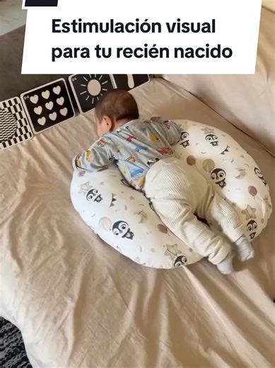 ¿Sabías que los primeros meses de vida son clave para el desarrollo de tu bebé? Estimularlo desde recién nacido fortalece su cerebro 🧠, mejora su coordinación ✋, refuerza el vínculo afectivo contigo ❤️ y sienta las bases para su aprendizaje futuro. No necesitas complicarte: en el enlace del perfil encontrarás actividades ideales para recién nacidos, organizadas por meses 📅, fáciles, seguras y pensadas para que disfruten juntos desde el primer día 🌟. #estimulacióntemprana #ideasdeactividades #
