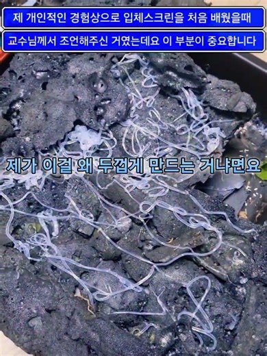 교수님께 들은 사막 비바리움에 대한 조언,사막 비바리움 교체주기 이야기를 하려고 합니다 #동물 #도마뱀 #파충류 #vivarium #reptiles #gecko #lizard