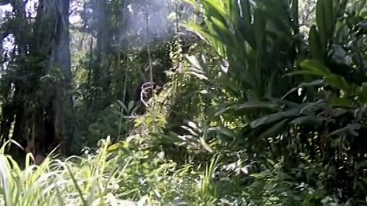 [www.skstream.com]-Cannibal Holocaust DVDRiP - FRENCH