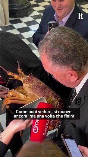 Nuova Zelanda, il ministro della pesca in Aula con un'aragosta: "In acqua calda non si muoverà più"