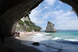 Coromandel Beach, Caves & Forest Private Tour - Auckland & Beyond.