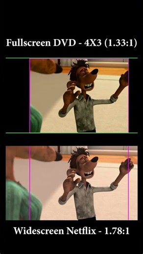 Flushed Away: Widescreen vs Fullscreen