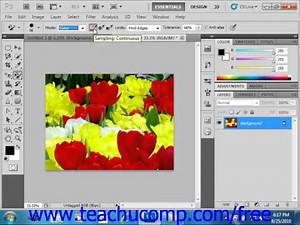 Photoshop CS5 Tutorial The Color Replacement Tool Adobe Training Lesson 5.5