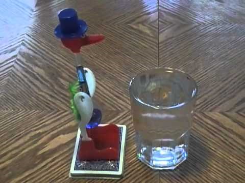 Magic happy drinking bird dippy toy