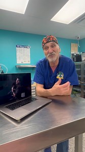 Jeffrey Young & Andrew Joseph Duffer are teaming up to raise funds for his new animal shelter! Please donate here: https://gofund.me/851d8bb7 | Planned Pethood International