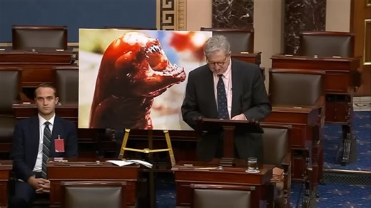 Standing before a photograph featuring a creature from the movie "Alien," Louisiana Senator John Kennedy told his colleagues, "This is what you could end up looking like if you eat some of the raw frozen shrimp being sent to the U.S. by other countries." Full story below: | WBRZ Channel 2