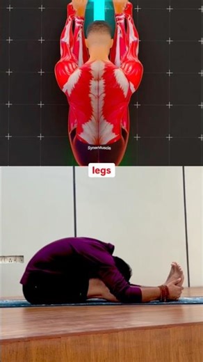 Pashchimottanasana Made Easy 🧘‍♂️ | Forward Fold for Beginners | Hamstring & Back Stretch