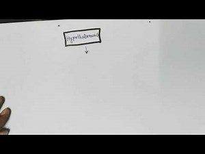 Flowchart of hormonal regulation of spermatogenesis