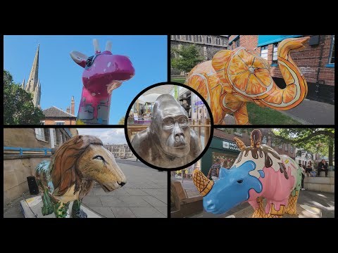 GoGo Safari 2025 Break Charity Trail