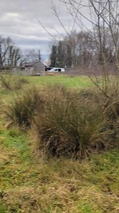 13K views · 741 reactions | Mondays are for making yourselves really, really dizzy 若若若 | DRUE Dobermann Rescue Registered Charity 1169697 | Facebook