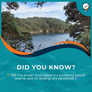  Did you know Goat Island is more than just a marine reserve? It’s also a protected nature reserve, meaning no landings are allowed on the island itself. ️ Enjoy the incredible marine life, crystal-clear waters, and stunning views from the sea—it’s all part of what makes Goat Island so special!  | Goat Island Dive & Snorkel | Facebook