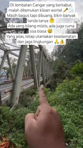 Viral! Kiloan Wortel Ditemukan di Jembatan Cangar, Misterius 🥕🌫️ #Cangar #Viral #Unik