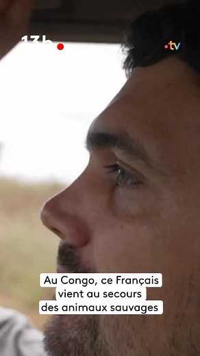 17K views · 286 reactions |  Antoine Paghera-Messager est à la tête de l’un des plus grands parcs nationaux du Congo. Chaque jour, avec ses équipes, il veille sur les éléphants, gorilles, léopards et crocodiles du parc — des animaux souvent traqués par les braconniers. 轢 Retrouvez le reportage complet dans le JT de 13h à retrouver dès maintenant que notre plateforme ! | France tv nature | Facebook