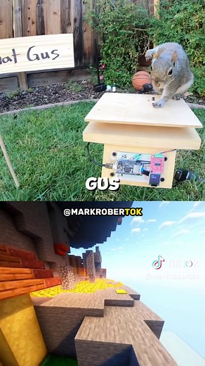 Squirrel vs Maze Part 10 | Mark Rober #fyp #markrober #viral
