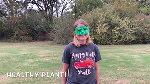 Howdy TPPDL fans and happy #WhatWednesday. Today we're finding out what saprophytes are. Saprophytes are organisms that live and feed on decaying organic matter. Some common saprophytes we see here in the lab are rhizopus, alternaria, pestalotia, and tetraploa. Thanks! @txplantdr | Texas Plant Disease Diagnostic Lab | Facebook