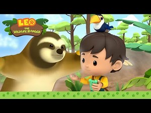 A SLOTH that can move in a FLASH?! 🏎️⚡ | Three-toed Sloth | Leo the Wildlife Ranger | Kids Cartoons