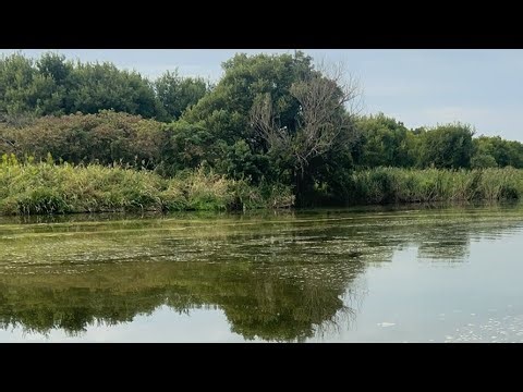ASRM Fishing for Carp and Catfish