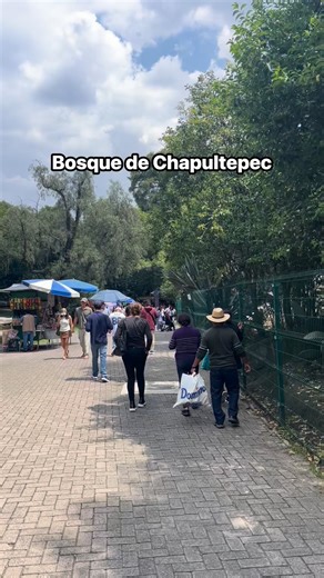 Bonito bosque de Chapultepec CDMX | El Informador