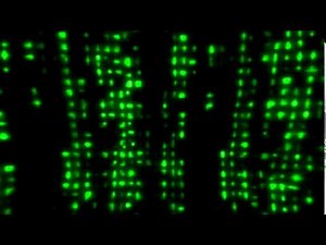 FREE VJ LOOPS / Green Code // 20 VJ LOOPS // Matrix video backgrounds