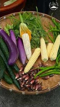 Enjoy Nature’s Gifts Fresh Fruits & Veggies