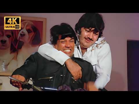 धर्मेंद्र जी का धमाकेदार एक्शन | Dream Girl Movie | Dharmendra, Hema Malini, Ashok Kumar | Action