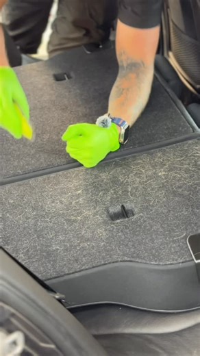 Stubborn dog hair (Gone) 🐶 #DogHairRemoval #PetHacks #CleaningTips #DogLife #PetHairProblems #DogOwnerLife #CleaningHacks #HomeOrganization #FurryFriend #InstaDog #PetParenting #HouseCleaning #TipsAndTricks #DogLover #HappyHome | Elite touch