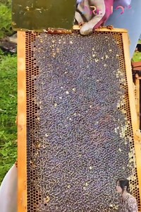 39K views · 20 reactions | Modern technology combined with human intelligence | Magazine | Facebook