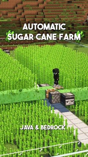 Ultimate Minecraft Automatic Sugar Cane Farm Guide