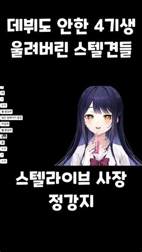 데뷔도 안한 스텔라이브 4기생 울려버린 스텔견들한테 일침 놓는 스텔라이브 사장 정강지
