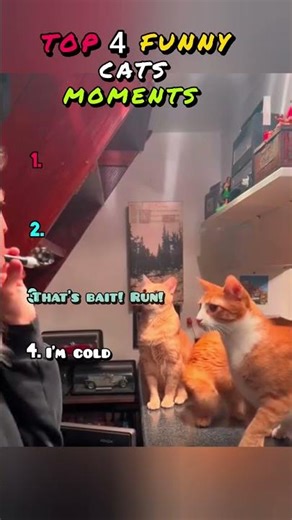 🐱😂 Epic Cat Fails & Adorable Kitten Mayhem! 😻 Top Viral Laughs #FunnyCats #CuteKittens #cat