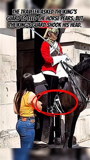 Guarding the Throne: The Role of the King’s Guard Through History #security #policewoman #kingsguard #entertainment #amazing #viralreelsシ | Kings Guard