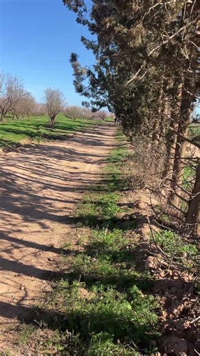 One Shot, One Kill: Incredible Boar Takedown 🐗